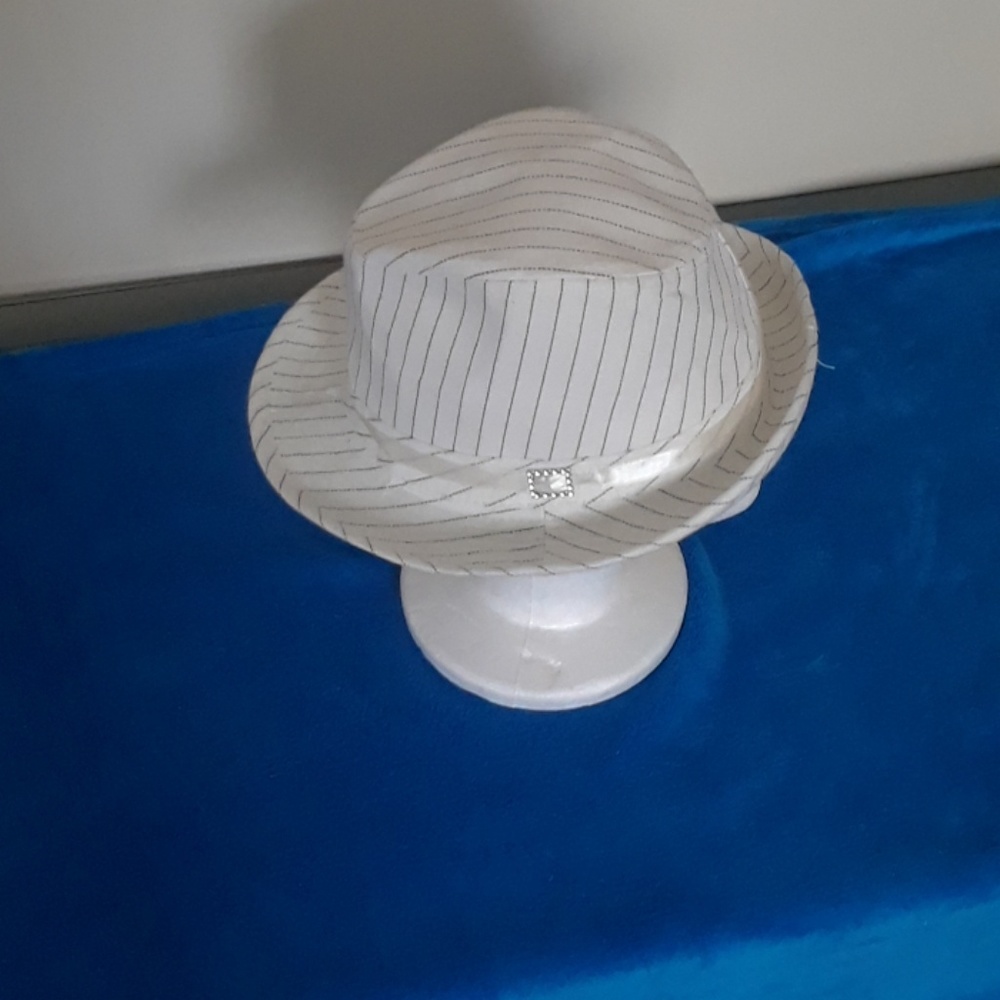 Stylish hat